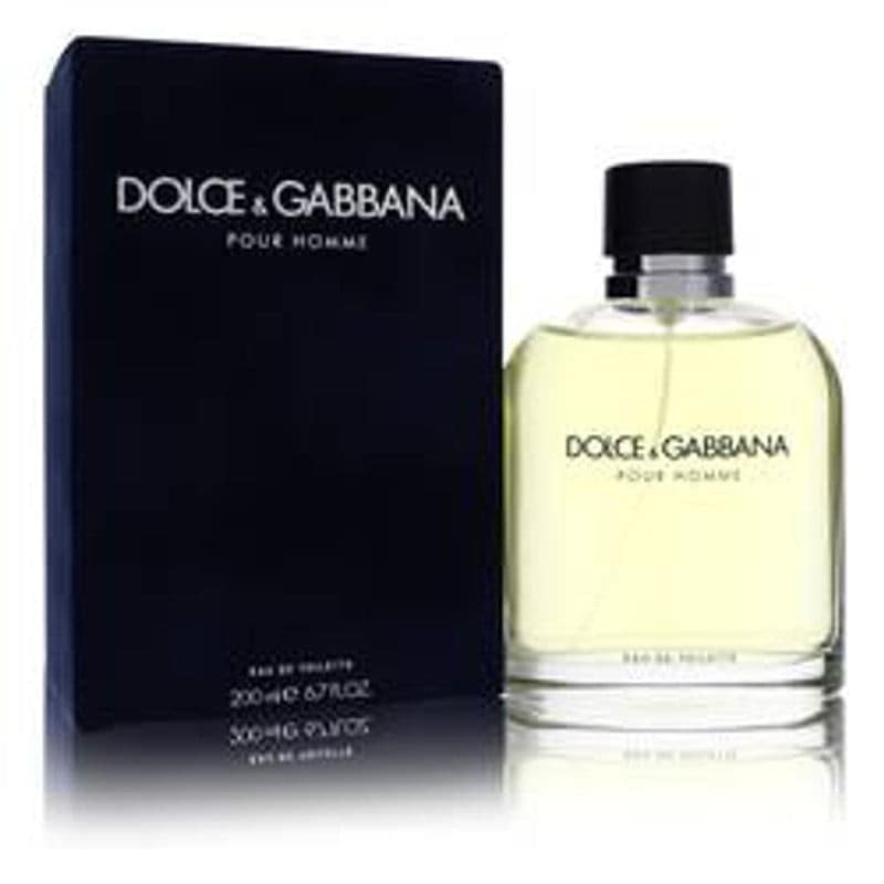 Dolce & Gabbana Eau De Toilette Spray By Dolce & Gabbana - Le Ravishe Beauty Mart