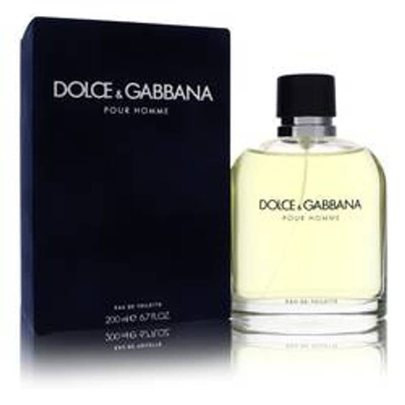 Dolce & Gabbana Eau De Toilette Spray (New) By Dolce & Gabbana - Le Ravishe Beauty Mart