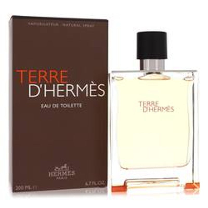 Terre D'hermes Eau De Toilette Spray By Hermes - Le Ravishe Beauty Mart